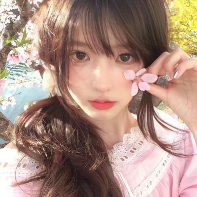 奇幻精灵事件簿2024